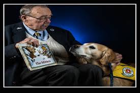 A great way to begin is to participate in the akc canine good citizen program (cgc). Akc Therapy Dog American Kennel Club