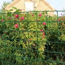 We did not find results for: Climbing Plant Support Mesh Plastic Garden Net Clematis Trellis Green 0 5m X 5m For Sale Online Ebay