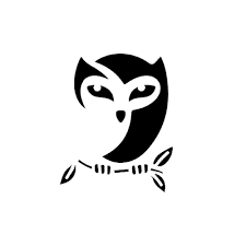 Eostrix By Rafael Tato Owls Are Deeply Connected To The Night And The Moon And Have Become A Symbol O Simple Owl Tattoo Owl Tattoo Small Owl Drawing Simple