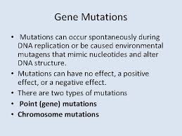 Mutations are essential to evolution; Unit 2 Molecular Genetics Recombinant Dna Technology Lesson