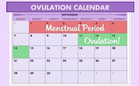 Example Of Ovulation Calendar Lamasa Jasonkellyphoto Co