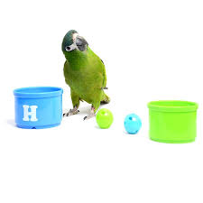 See more of terkukur berapi official on facebook. Cangkir Susun Model Pet Off Untuk Burung Shopee Indonesia