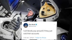 To constantly be present on every type of news outlet? Elon Musk Dogecoin Crash Should You Sell Or Hold Dogecoin Youtube