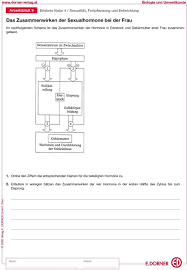 Pin On Worksheets Gallery
