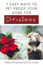 Keeping Your Pets Safe During The Holiday Season Is Important Here Are 7 Easy Ways That You Can Pet Proof Your Home For Christmas Cat Pet Proof Pets Pet Blog