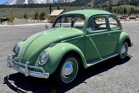 Image result for Mignonette Green 1959 Beetle
