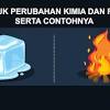 Penemuan jenis pestisida yang tepat untuk membasmi serangan hama ; 3