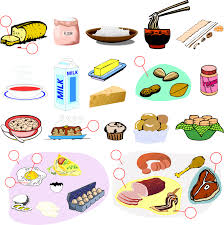 الطعام 1 Food 1 تعلم اللغة الإنجليزية مجانا Learn English Language For Free St Takla Org