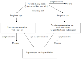 laparoscopic renal cyst ablation uf health university of