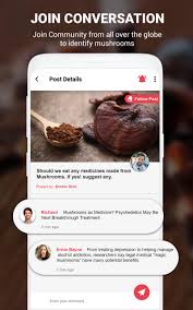 Free apps or which have at least a free version, trial, or a way to get free credits. Mushroom Identifier App By Photo Camera 2020 For Android Apk Download