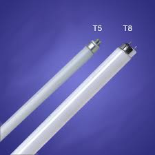 Difference Between T5 And T8 Lighting In Fish Tank Aquariums Tropical Fish Site