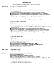 Designer Developer Resume Samples Velvet Jobs