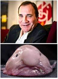 Stefan lofven, swedish labor leader and social democratic politician who became prime minister of sweden in 2014. Pol Politically Incorrect Thread 99872979