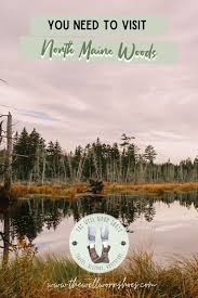 North Maine Woods A Nature Lovers Paradise New England Travel Rhode Island Beaches Nature Lover