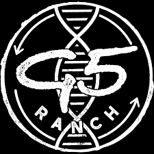 Gunakan sapi brahman png gratis ini untuk desain web, desain dtp, selebaran, proposal, proyek sekolah, poster, dan lainnya. G5 Ranch Brahman And Hereford Cattle Milledgeville Georgia