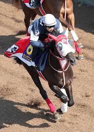 News source: Yahoo!ニュース