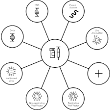 Platform processes are capable of producing many similar products from the same family with only minor adjustments to operating parameters. Modelling The Manufacturing Process For Covid 19 Vaccines Our Approach Center For Global Development