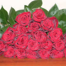 Flowers real flower artificial wholesale flowers real touch flower dahlia artificial flower arrangement. Black Magic Roses 100 Stems J R Roses Wholesale Flowers