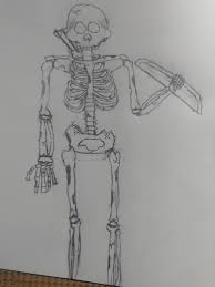 Check spelling or type a new query. I Drew A Realistic Minecraft Skeleton What Do You Guys Think Minecraft