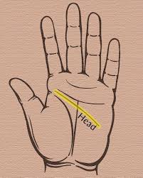 According to palmistry, a person would certainly become rich if he or she has a clear sun line ending in a trident shape along with a money maker line in the mount of jupiter close to the thumb. Palm Reading A Beginner S Guide For How To Read Palms