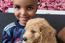 Vandal defaces 'kind' note from Flackwell Heath boy battling cancer