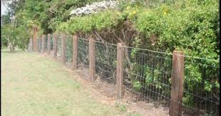 Rural King Electric Dog Fence Electric Fencing Dog Fence Electric Fence Fence