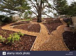 Pin On Gardening