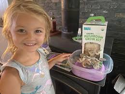 Is this a bacillus infection or a normal growth in my Back to Roots Pink  Oyster mushroom kit?