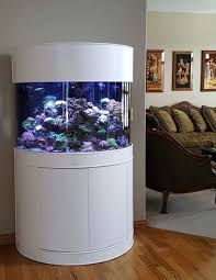 Aqua Vim Our Story Premium Glass Tanks And Stands In 2020 Custom Fish Tanks Aquariums For Sale Fish Tank