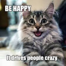 Image result for i can has cheezburger