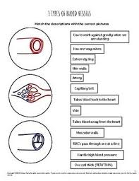 Pin On Teacher Resources Fun Creative Ways To Teach
