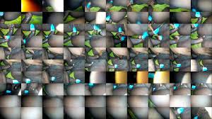 VID 20160720 110349(1) - XNXX.COM