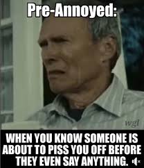 I Think I Was Born Pre Annoyed And It S Permanent Work Memes How To Apologize Annoyed Meme