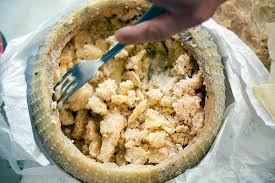 Formaggio con i vermi sardo. Marzu Cunditu O Frazigu Il Formaggio Piu Buono Del Mondo Ddurudduru Blog Finegil