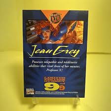 Image result for Grey 1994 Fleet