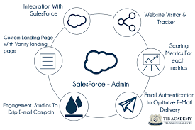 Salesforce Admin Training In Bangalore Best Salesforce Certification Bangalore