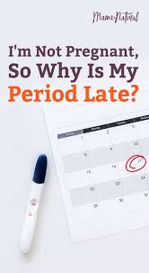 I M Not Pregnant So Why Is My Period Late Mama Natural Late Period Not Pregnant Period Cycle Reasons For Late Period