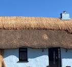 Ridge renewal on thatched home using water reed. : r/Roofing