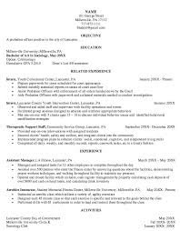 probation officer resume examples