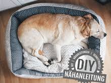 Pullover nähen freebook pullover nähen damen schnittmuster oversize shirt schnittmuster. Nahanleitung Hundebett 3 Grossen Mit Reissverschluss