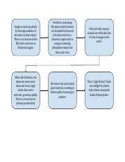 Eutrophication Flow Chart Pdf Oxygen Is Used Up Quickly By