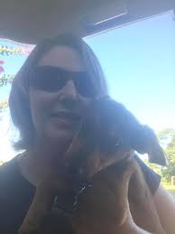 I had to take both my babies to the vets today. Twinky and Winnie were do  for there distemper shot, heartworm test and they needed to be