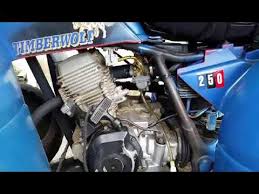 Starter for yamaha yz250 1999 year. Yamaha Timberwolf 250 Atv Youtube