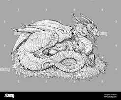 Mama dragon on the eggs. Fantasy dragon in the nest. Pencil drawing Stock  Photo - Alamy