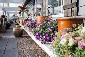 Maybe you would like to learn more about one of these? Carousel Floral Gift Garden Center Rochester Mn 55901