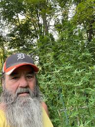 Activities to enjoy with friends and family