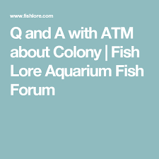 Pin On Aquarium