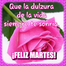 Resultado de imagen de feliz martes gif