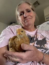 Chicken Coop Ideas & Everything Backyard Chicken