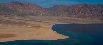 Facebook gives people the power to share and makes the. Neom Saudi Arabia S Sustainable Vision Of The Future En Former